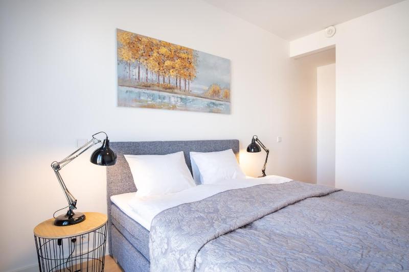 One-Bedroom Apartment image 4