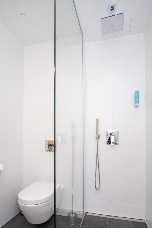 One-Bedroom Apartment image 2