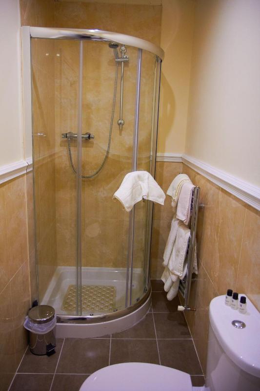 Standard Twin Room image 3