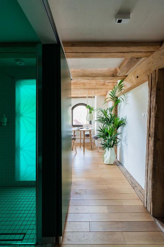 Apartamenty Monka - image 6