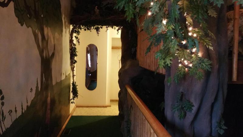Enchanted Forest image 1