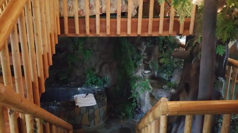 Enchanted Forest image 2