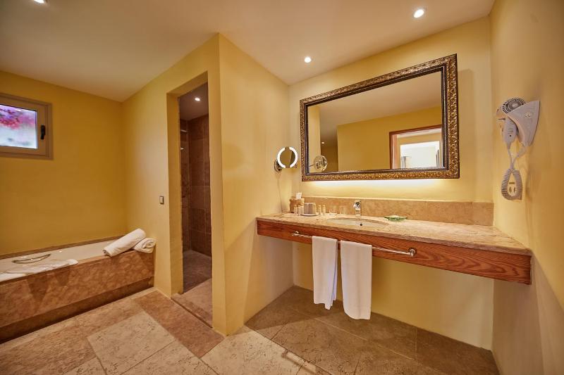 Grand Suite with Private Pool  image 3