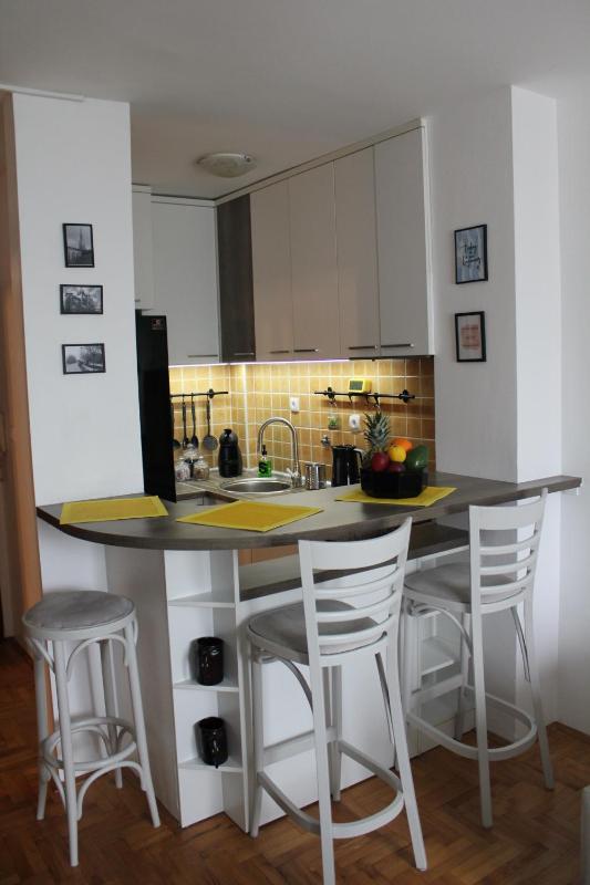 One-Bedroom Apartment image 3