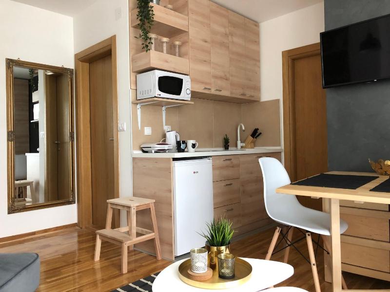 One-Bedroom Apartment image 2