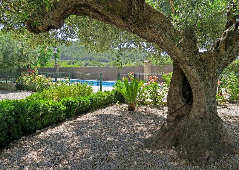 Five-Bedroom House image 1