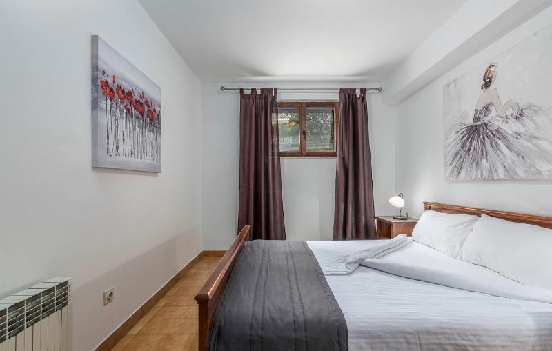 Apartment with Terrace image 4