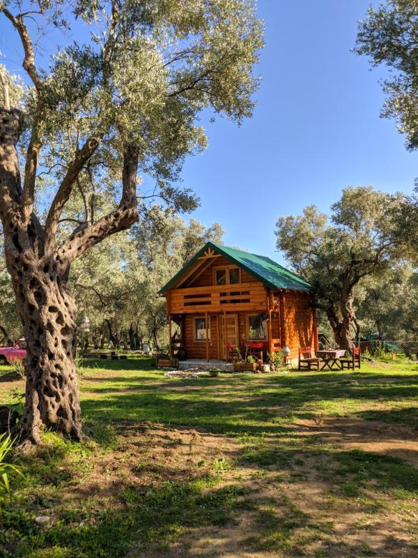 Green Heaven Cottage - image 16