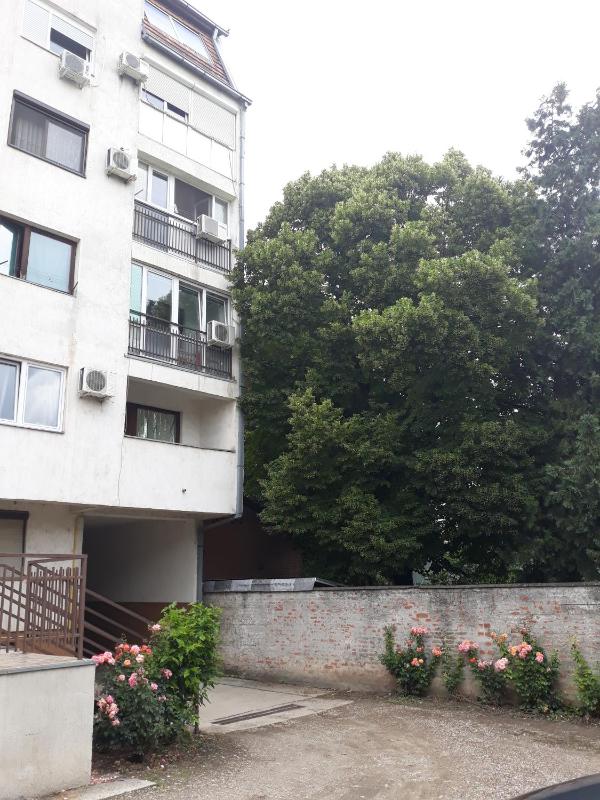 Hann Apartments - image 14