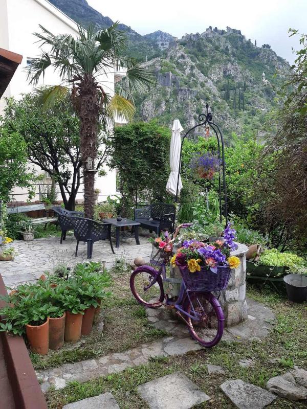 Apartments Sandra - image 5