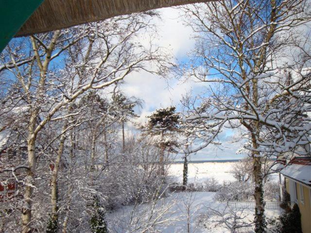 Fewo mit 2 Schlafzimmern   image 4