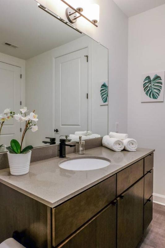 One-Bedroom Apartment image 2