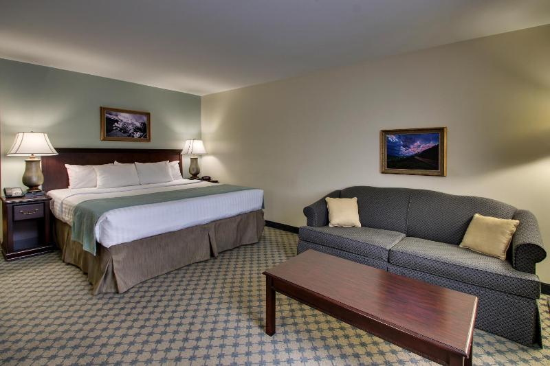 Deluxe King Room image 1