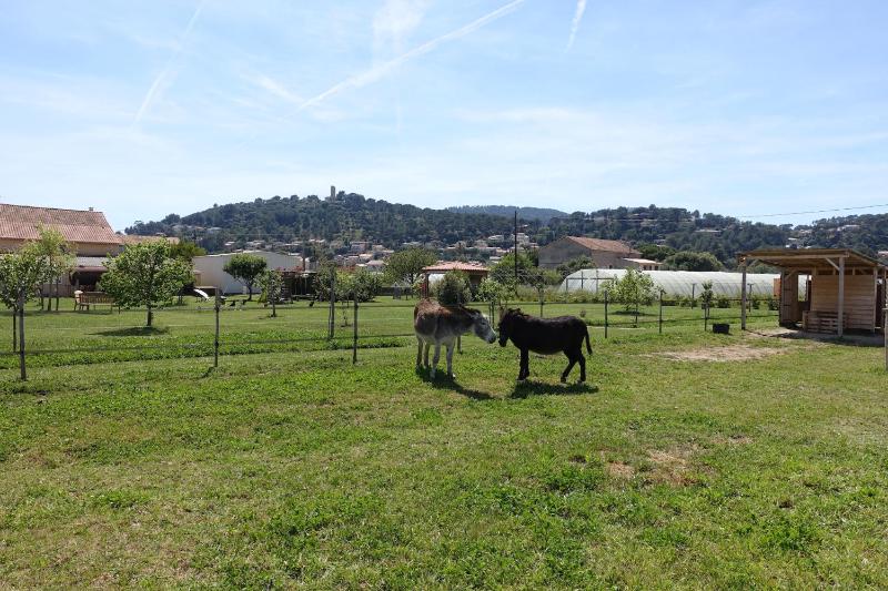 Gîte du Pagoulin - Chambres d'hôtes - image 26