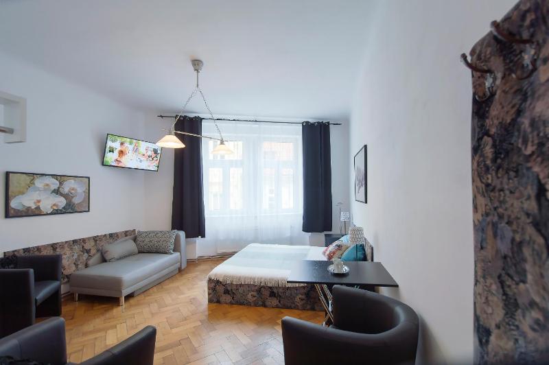 Modern Apartment Skolska 20 - image 2