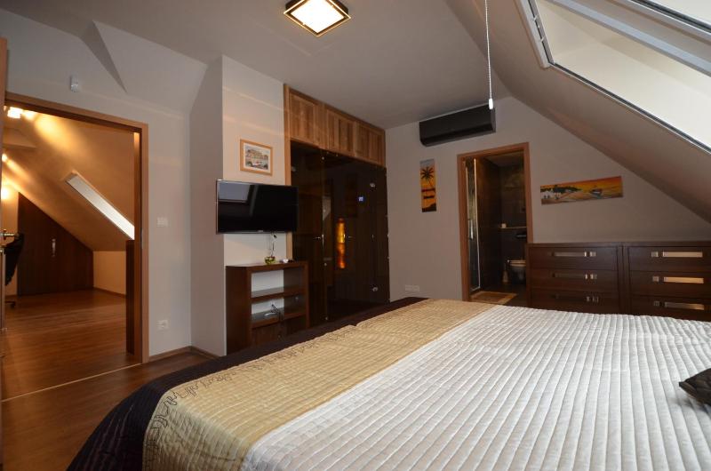 One-Bedroom Apartment - Penthouse  image 3