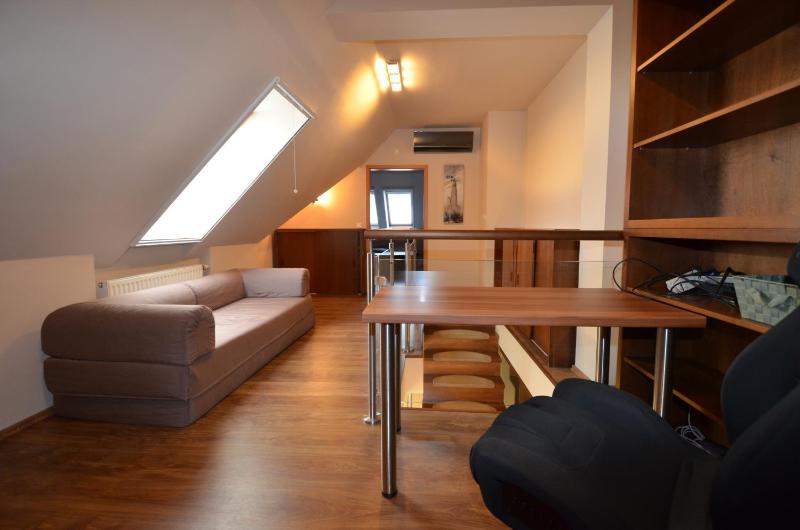One-Bedroom Apartment - Penthouse  image 2