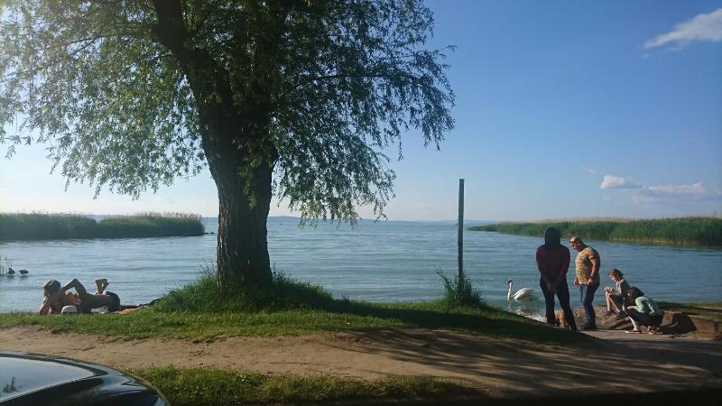Mala Beach Apartment - image 14
