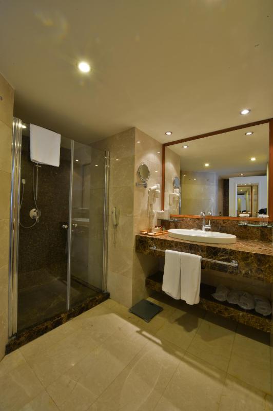 Executive Suite image 4