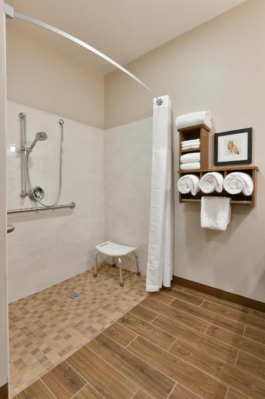 Family Room - Disability Access image 2