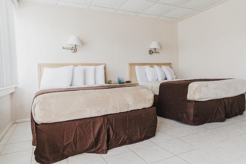 Single Room with Two Double Beds - Room C  image 4