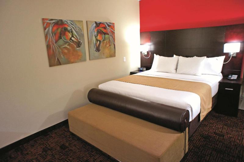 King Room with Mobility/Hearing Impaired Access - Non-Smoking image 3