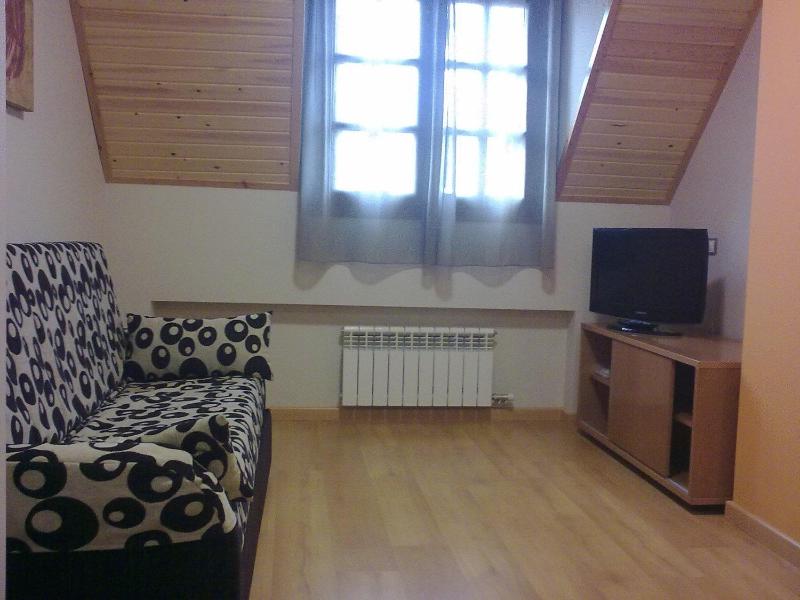 One-Bedroom Apartment (2 - 4 Adults) image 3