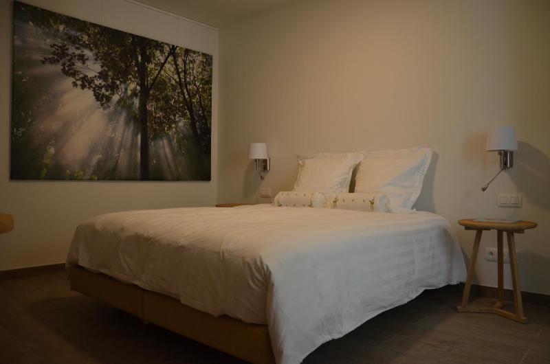 Deluxe Double Room image 3