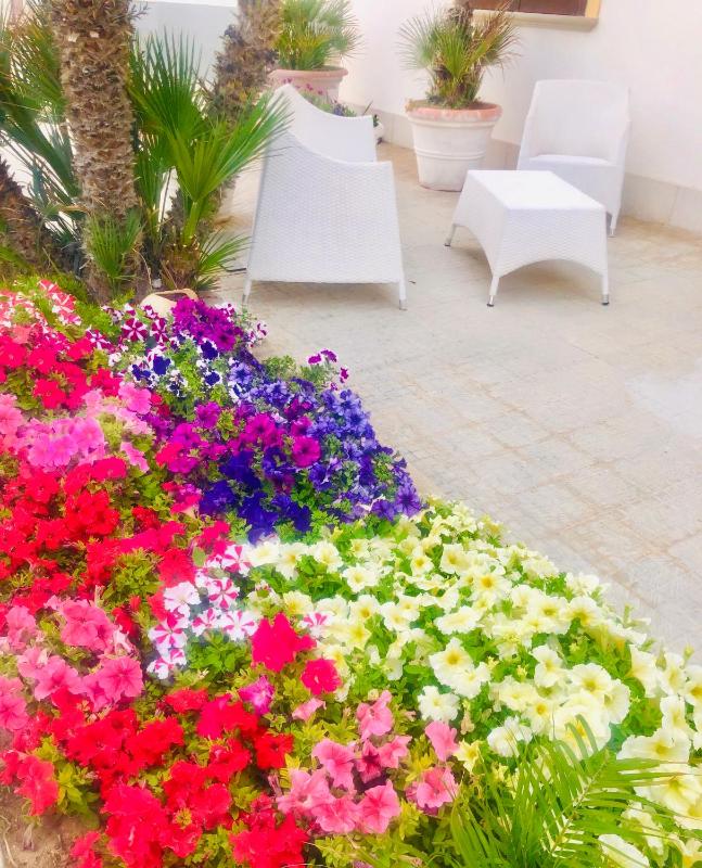 Araba Fenice Hotel - image 2
