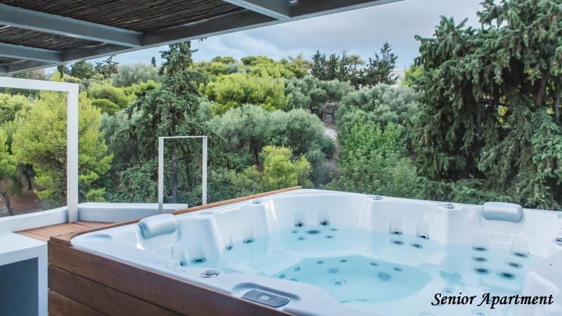 Five-Bedroom Apartment with Outdoor Hot Tub and Acropolis View image 2