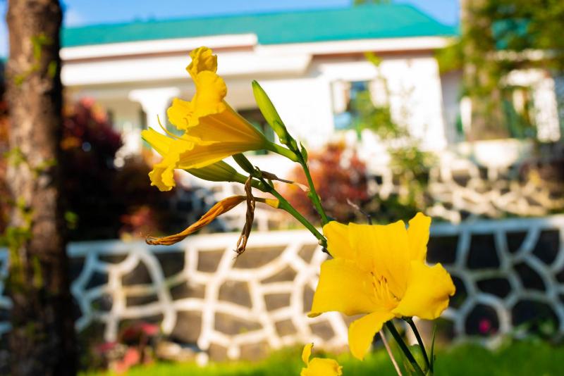 Mambo Hideaway - image 7