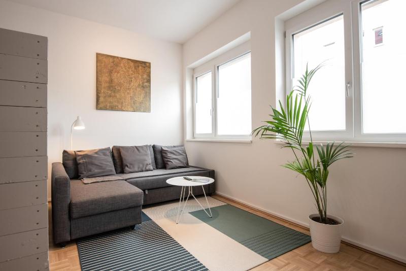 Studio Apartment image 4