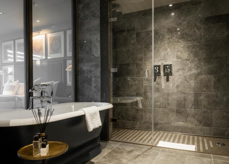 Deluxe Suite image 2