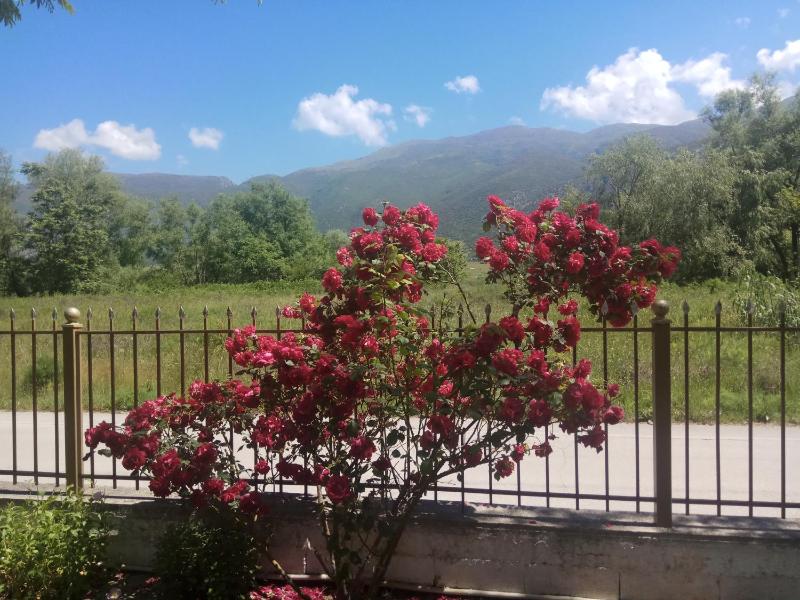 Studio with Mountain View image 2