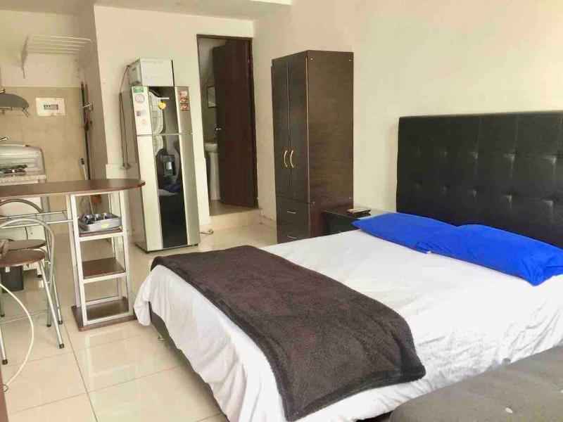 One-Bedroom Apartment image 1