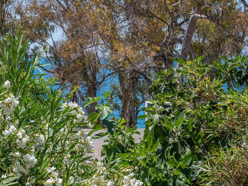 One-Bedroom Apartment image 3