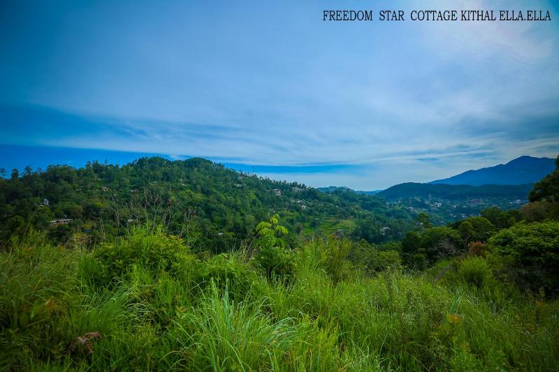 ELLA FREEDOM STAR COTTAGE - image 16