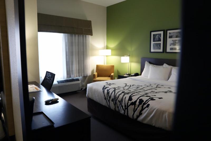 King Room - Non-Smoking image 3