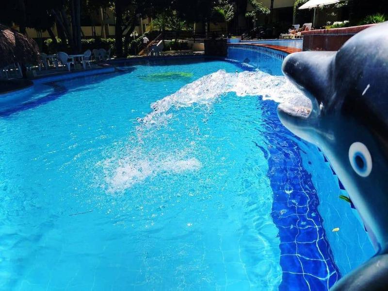 Solar de Pipa Elegance Flat - Frente Piscina - image 8