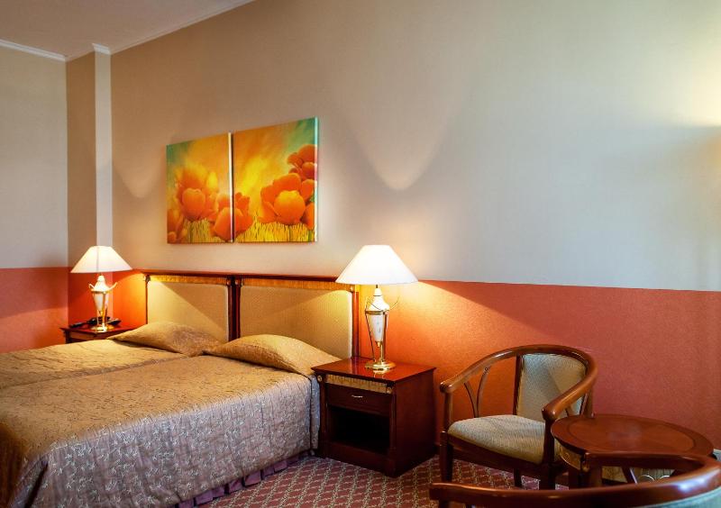 Standard Twin Room image 3