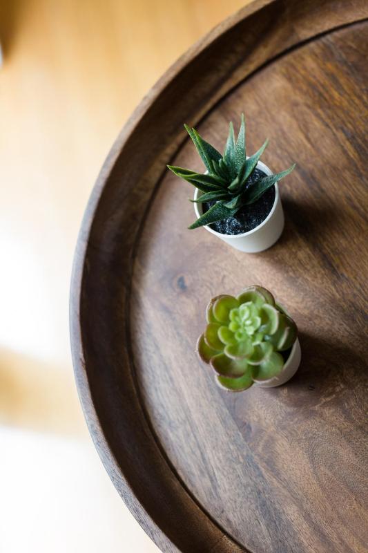 One-Bedroom Apartment image 2