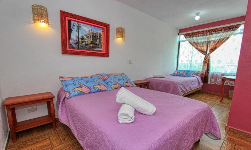 Hotel Spa Maggic Home Panorámica - image 11