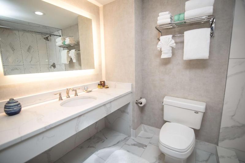 Deluxe King Suite image 2