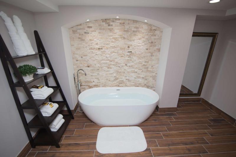 Deluxe King Suite image 3