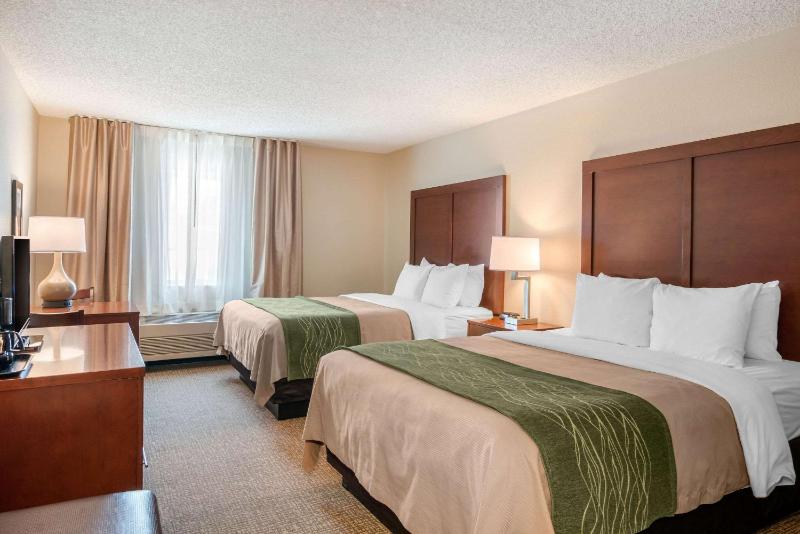 Queen Room with Two Queen Beds - Non-Smoking image 3