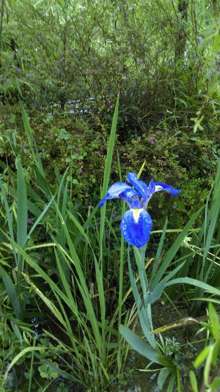 Bramasole B&B - image 14