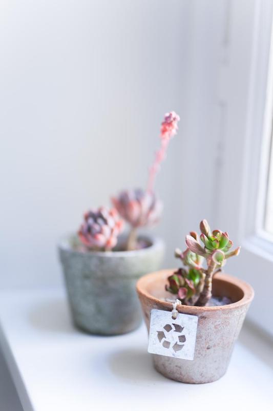 Deluxe King Room image 3