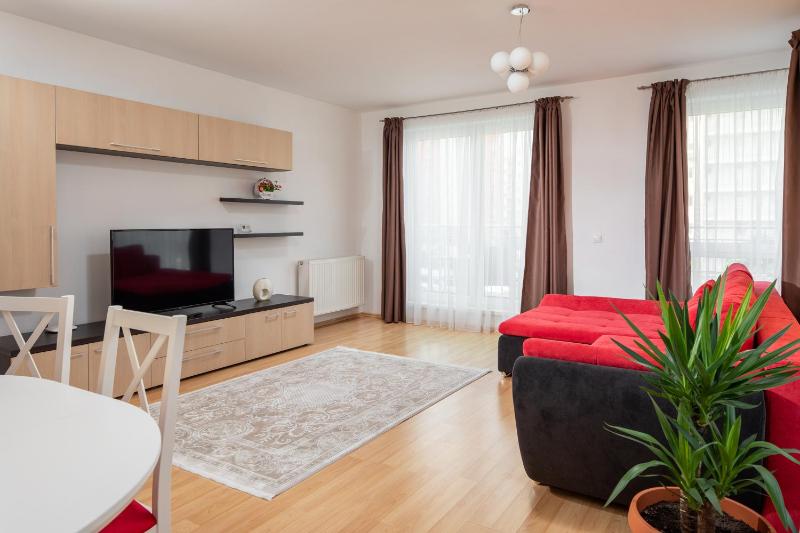 Brasov Holiday Apartments - image 3