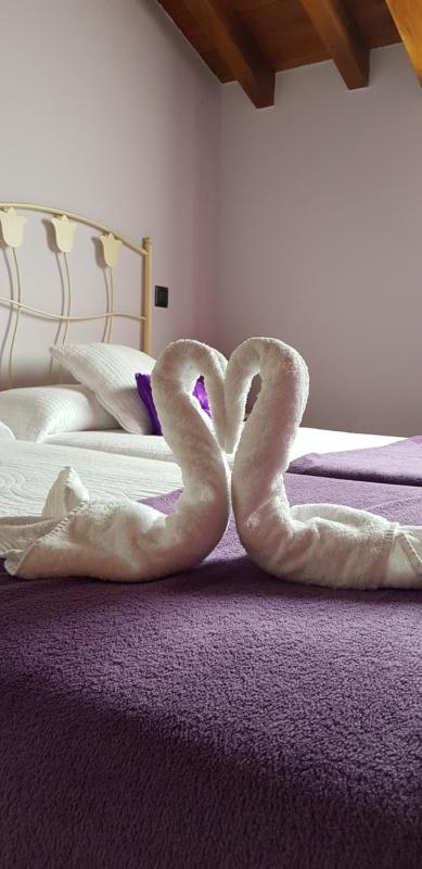 Standard Double or Twin Room image 2