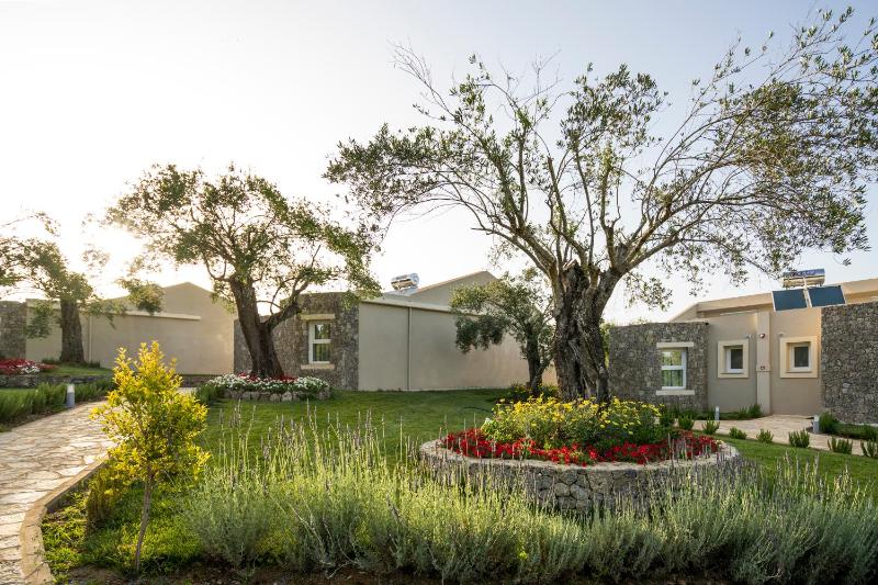 Deluxe Bungalow image 3
